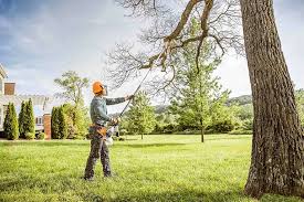 Best Arborist Consultation Services  in Collings Lakes, NJ