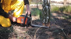 Best Lawn Irrigation Installation and Maintenance  in Collings Lakes, NJ