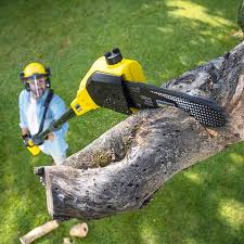 Best Firewood Processing and Delivery  in Collings Lakes, NJ